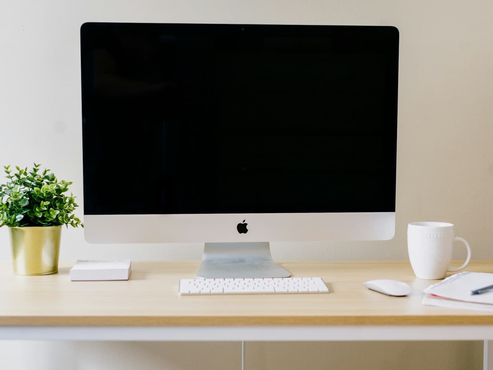 Apple 13 side